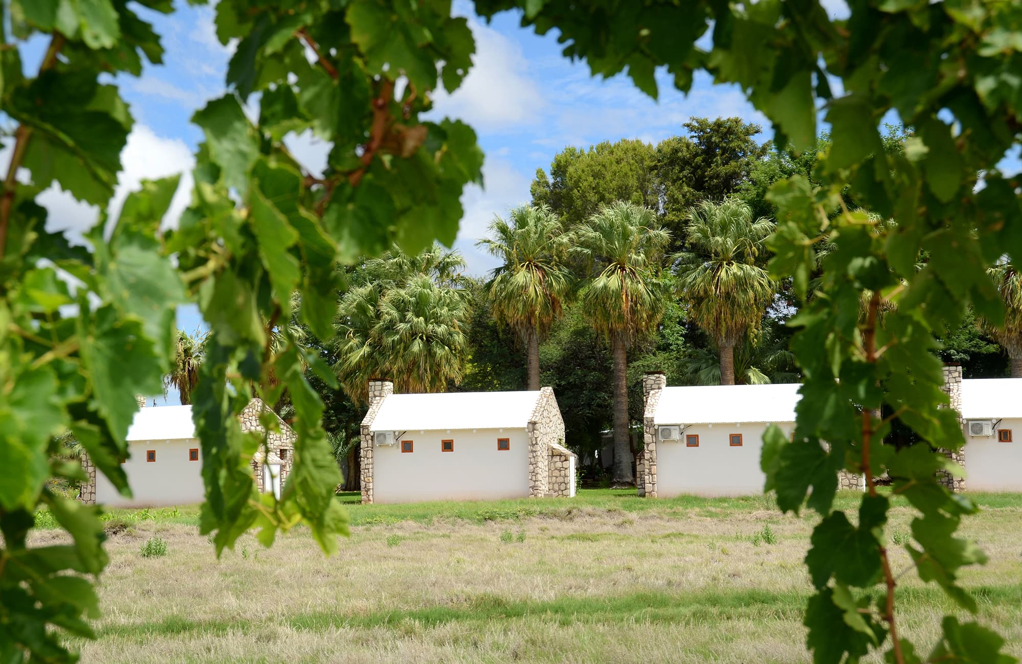 Kalahari Farm Campsite